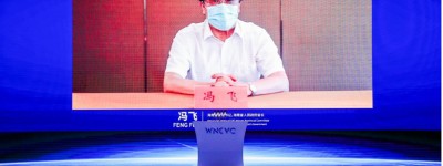 WNEVC 2022 |海南省省长冯飞：加速向2030年全面禁售燃油车目标前进